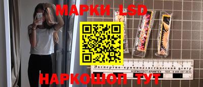стаф Краснодар