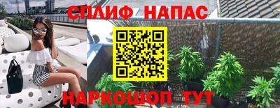 mdpv Краснознаменск